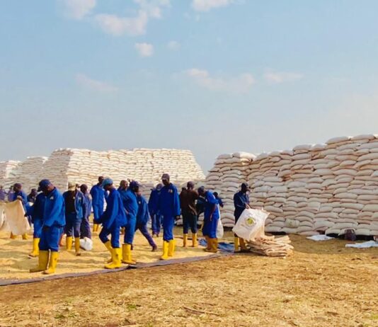 RDC: Le Gouvernement promet d’apporter un soutien au service national pour accroître ses activités