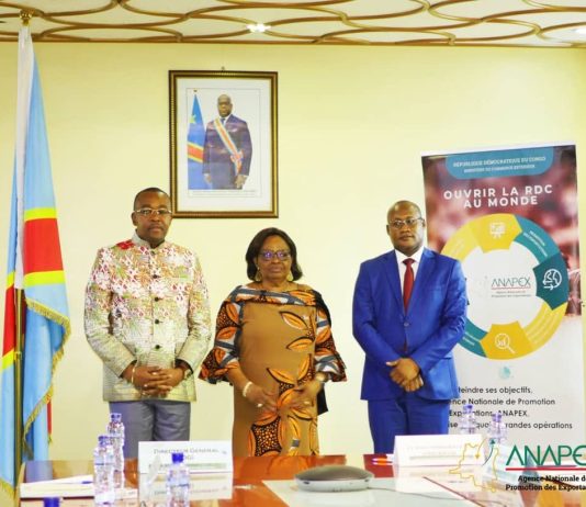 RDC : les agents et cadres de l’ANAPEX outillés sur la promotion des exportations et diversification des marchés-SPED