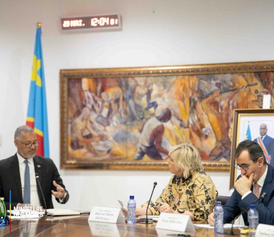 RDC : les parlementaires de l’UE veulent établir des partenariats responsables sur la transition énergétique