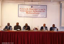 RDC : le CNPAV appelle le gouvernement à disposer une vision politique claire dans le secteur extractif