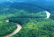 RDC : Judith Suminwa appelle à faire de la RDC un modèle de croissance verte