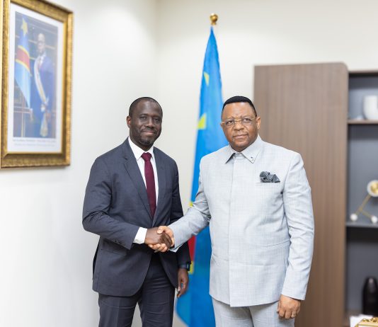 RDC : le FPI en quête de partenariats stratégiques avec les géants internationaux