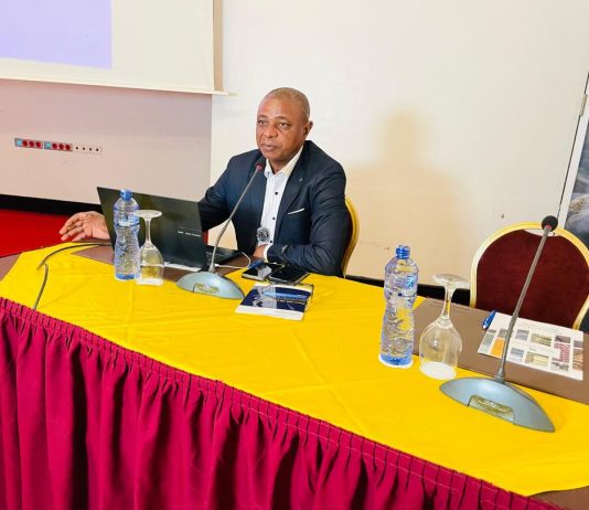 RDC : Afrewatch recommande la digitalisation et l’interconnexion des services fiscaux pour maximiser les recettes du secteur minier