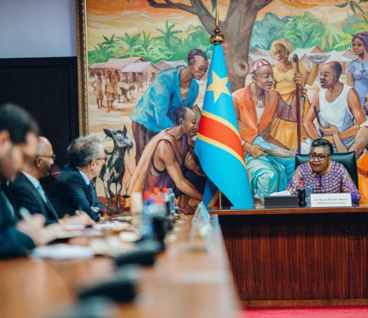 RDC–UE : l’urgence humanitaire à l’Est, Suminwa plaide pour plus de moyens en faveur des déplacés