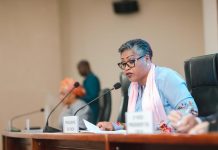 RDC–France : un partenariat économique en pleine accélération