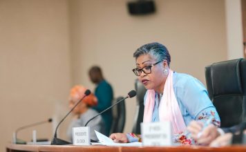 RDC–France : un partenariat économique en pleine accélération