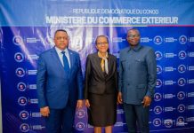 FPI-IDC : Kinshasa accélère le partenariat industriel avec l’Afrique du Sud