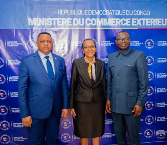 FPI-IDC : Kinshasa accélère le partenariat industriel avec l’Afrique du Sud