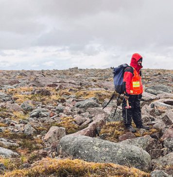 RDC : KoBold Metals lance une offensive historique dans le lithium avec l’intelligence artificielle à Manono