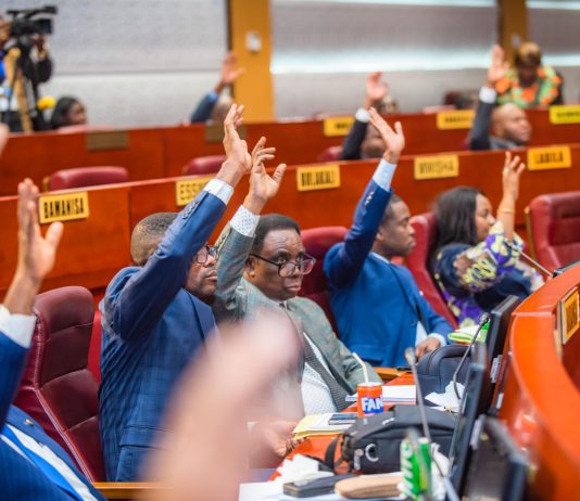 RDC : le Sénat lance la Bourse et modernise la pêche pour stimuler la croissance
