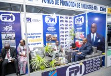 RDC-Mines et énergie : le pari industriel du FPI