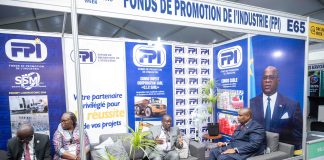 RDC-Mines et énergie : le pari industriel du FPI