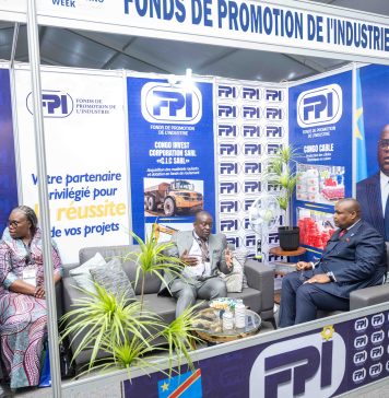 RDC-Mines et énergie : le pari industriel du FPI