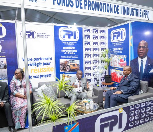 RDC-Mines et énergie : le pari industriel du FPI
