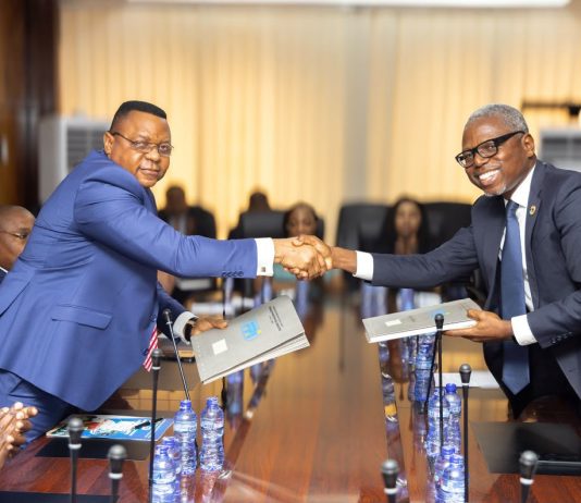 RDC: Le FPI et le PNUD unissent leurs forces pour accélérer l’inclusion financière et la transformation industrielle