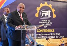 RDC-Investissements : le FPI séduit le BENELUX avec un plan de 420 millions USD