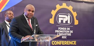 RDC-Investissements : le FPI séduit le BENELUX avec un plan de 420 millions USD
