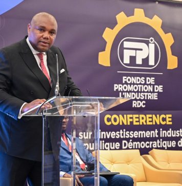 RDC-Investissements : le FPI séduit le BENELUX avec un plan de 420 millions USD