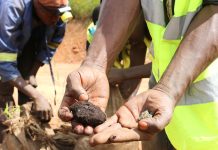 RDC : jusqu’à 5 000 tonnes d’uranium auraient quitté le pays avec les exportations de cobalt
