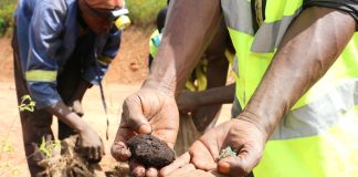 RDC : jusqu’à 5 000 tonnes d’uranium auraient quitté le pays avec les exportations de cobalt